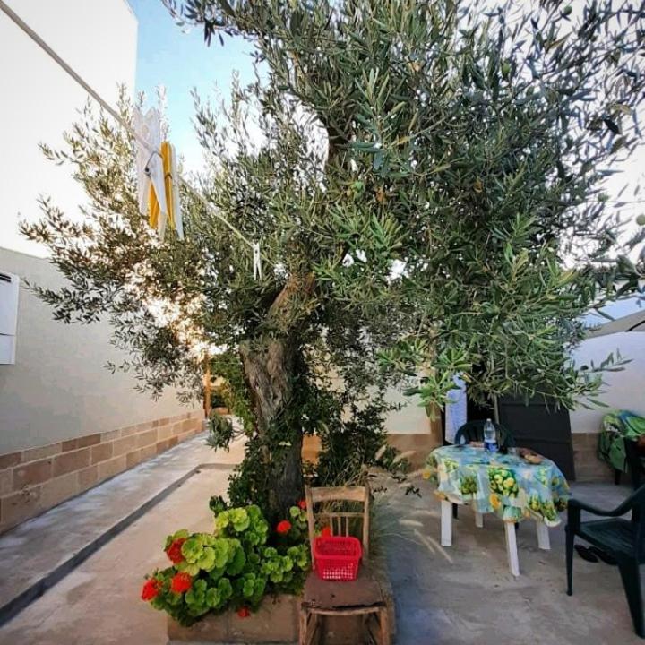 Casa Le Gebbie Villa Marzamemi Eksteriør bilde
