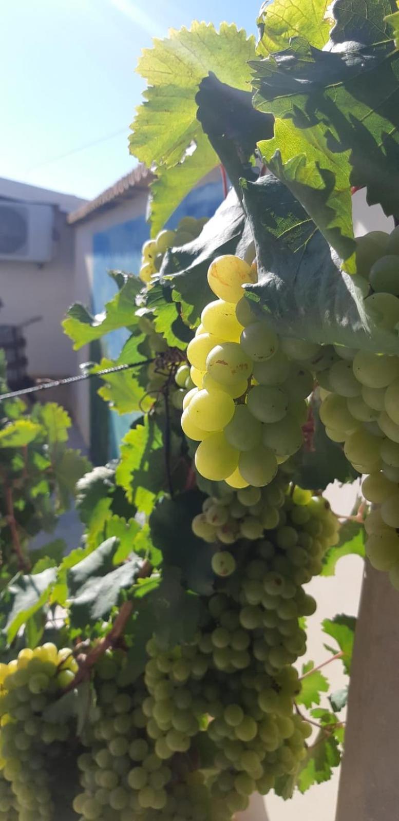 Casa Le Gebbie Villa Marzamemi Eksteriør bilde